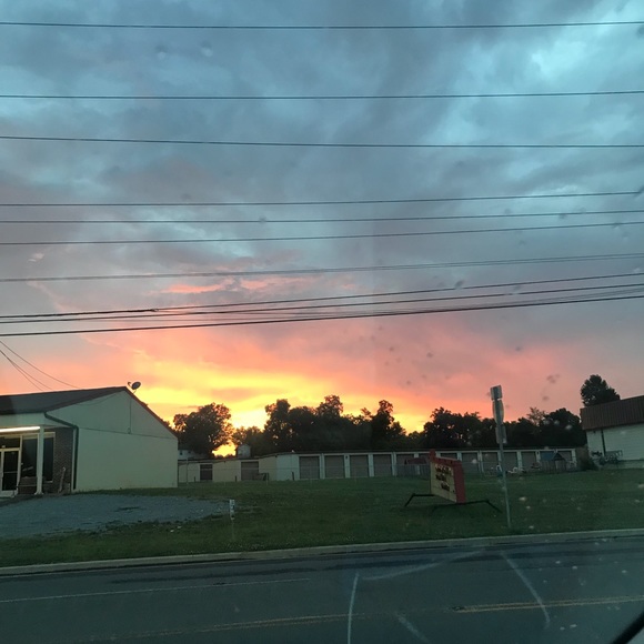 Meet your Posher, Harlee - Picture 1 of 1